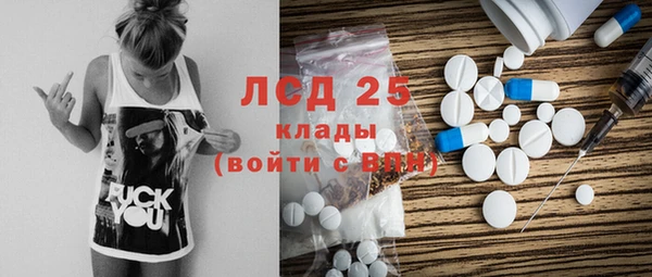 СК Новодвинск