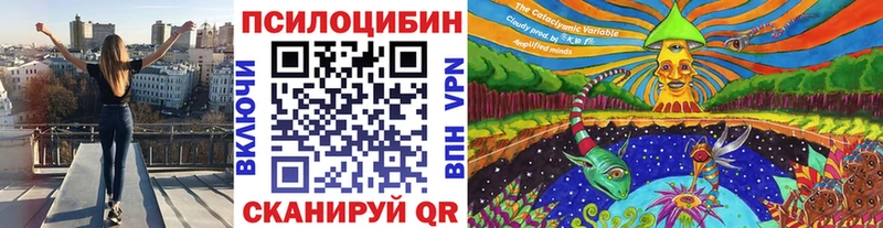 Псилоцибиновые грибы Psilocybine cubensis  blacksprut tor  Спас-Клепики 